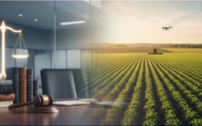 Direito do Agronegócio em Cascavel: Consultoria Jurídica para o Setor Rural.